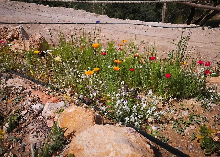 Cortijo Samadhi