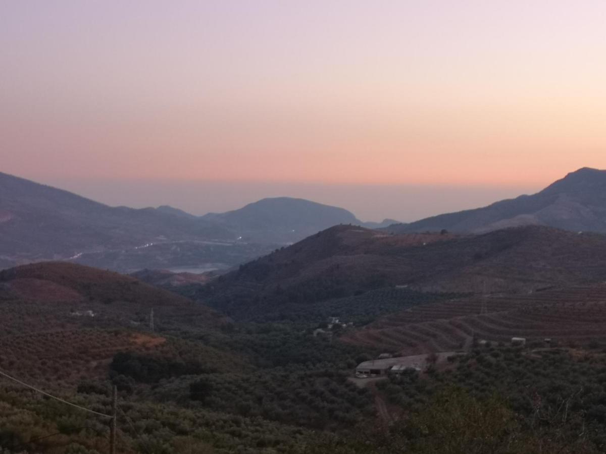 Cortijo Samadhi *
