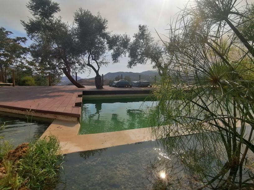 Cortijo Samadhi